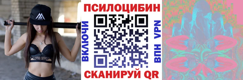 купить  цена  Новоульяновск  Галлюциногенные грибы GOLDEN TEACHER 